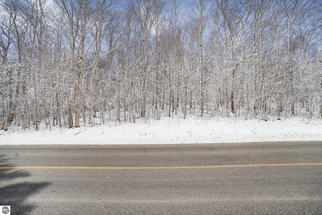 V/L S Coleman Rd, Maple City, MI 49664