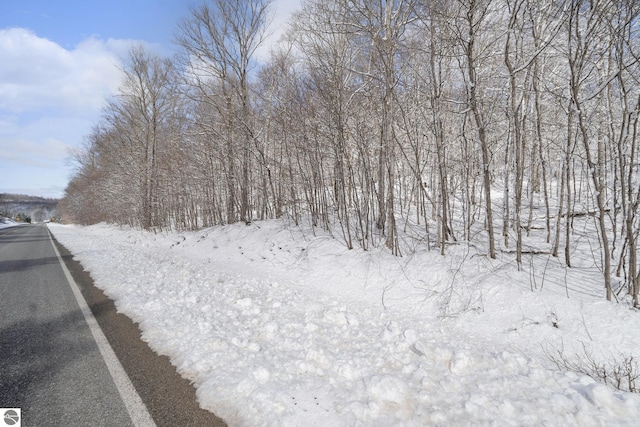 V/L S Coleman Rd, Maple City, MI 49664