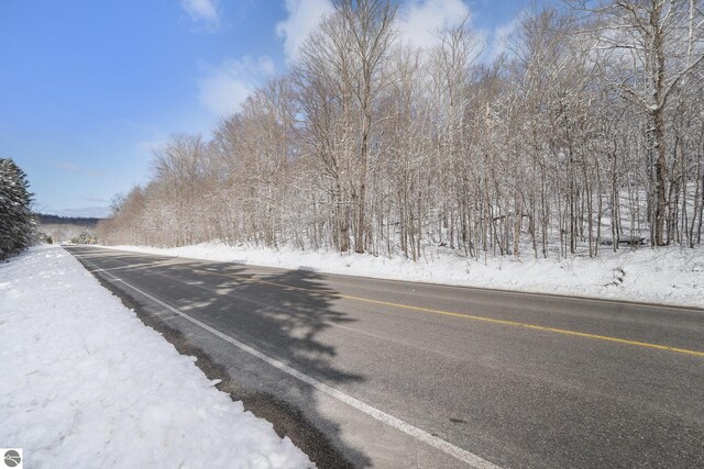 V/L S Coleman Rd, Maple City, MI 49664