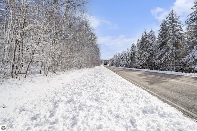 V/L S Coleman Rd, Maple City, MI 49664