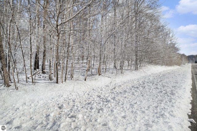 V/L S Coleman Rd, Maple City, MI 49664