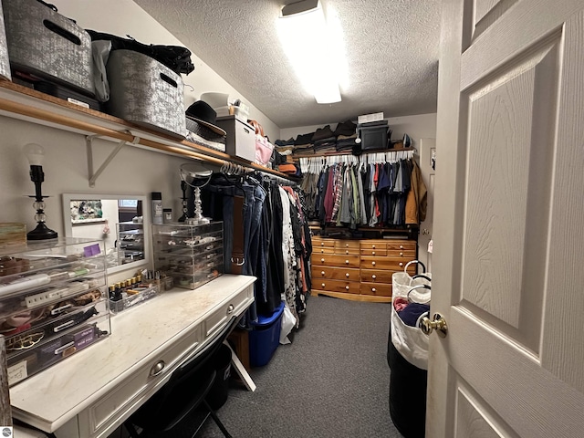 spacious closet featuring carpet floors