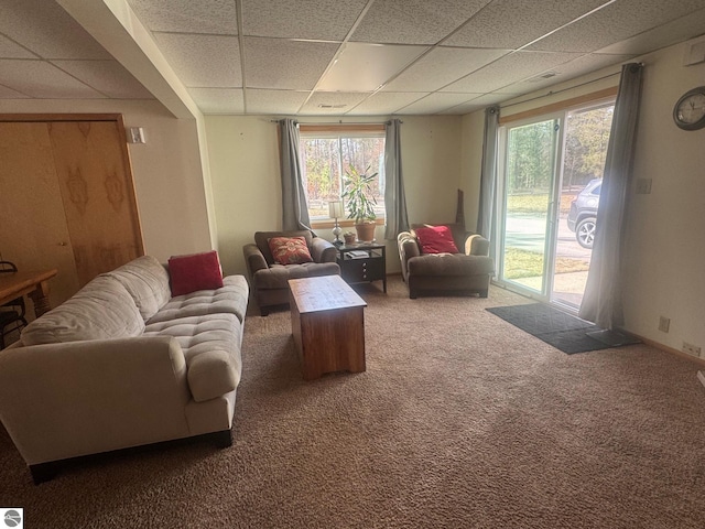 living area with a drop ceiling, carpet floors, and a healthy amount of sunlight