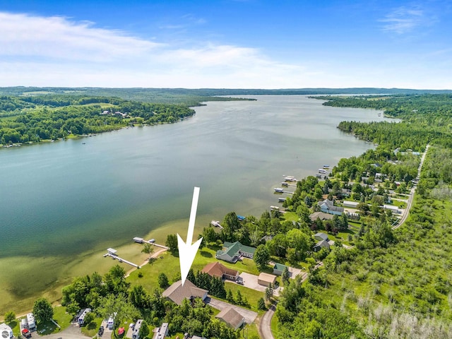 3275 S Sunrise Ln, Lake Leelanau, MI 49653 - bird's eye view with a water view and a forest view