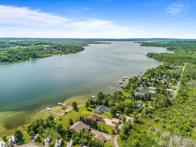 3275 S Sunrise Ln, Lake Leelanau, MI 49653 - bird's eye view featuring a water view and a wooded view