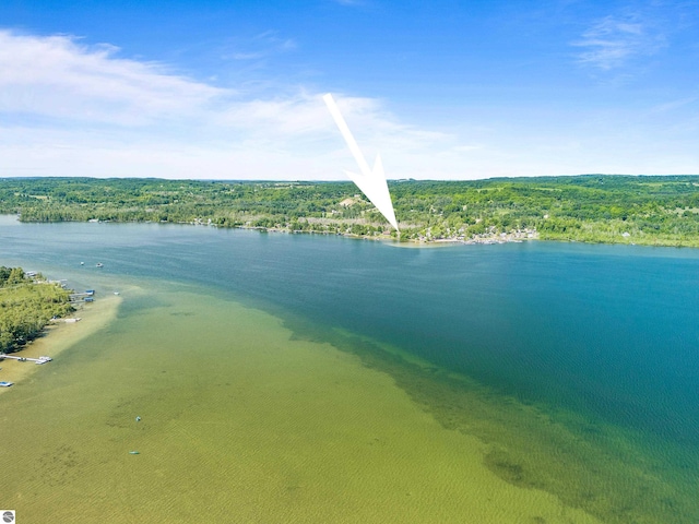 3275 S Sunrise Ln, Lake Leelanau, MI 49653 - bird's eye view featuring a water view and a forest view