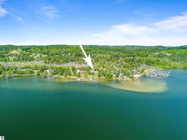 3275 S Sunrise Ln, Lake Leelanau, MI 49653 - drone / aerial view featuring a water view and a view of trees