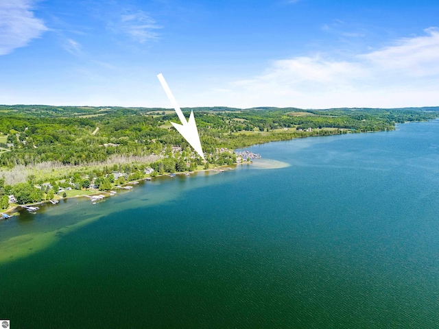 3275 S Sunrise Ln, Lake Leelanau, MI 49653 - bird's eye view with a water view and a forest view