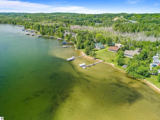 3275 S Sunrise Ln, Lake Leelanau, MI 49653 - drone / aerial view featuring a water view and a wooded view