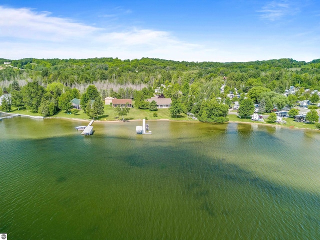 3275 S Sunrise Ln, Lake Leelanau, MI 49653 - bird's eye view with a wooded view and a water view