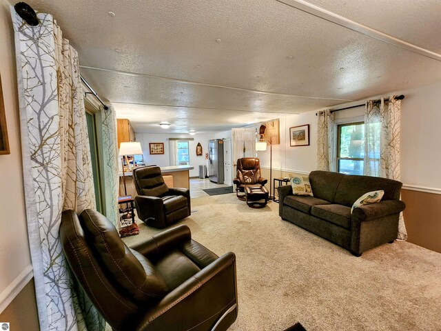 8468 Shorewood Ct, Mancelona, MI 49659 - carpeted living room with a textured ceiling