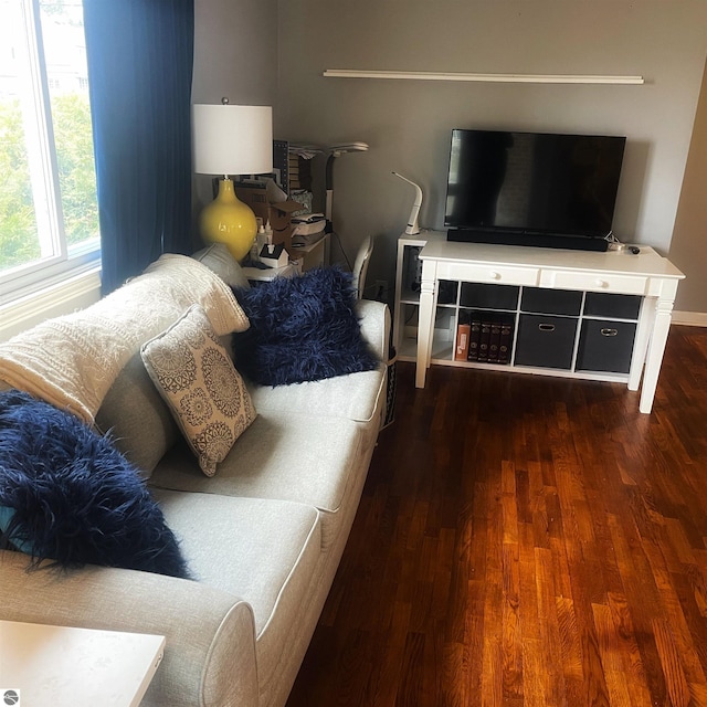 6133 W Airline Rd, Weidman, MI 48893 - living room featuring wood finished floors