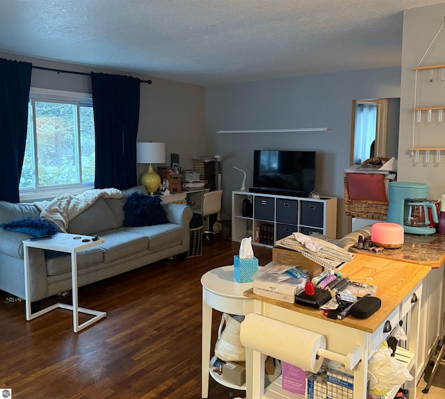 6133 W Airline Rd, Weidman, MI 48893 - living area featuring a textured ceiling and wood finished floors