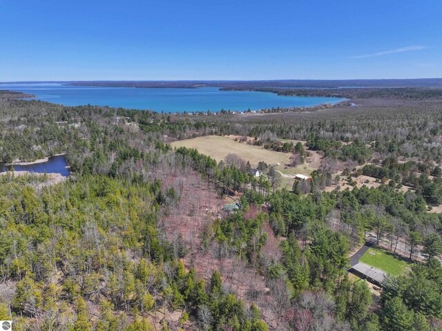 bird's eye view featuring a forest view and a water view