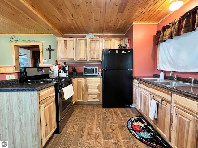 160 White Birch Ln, Cadillac, MI 49601 - kitchen featuring wooden ceiling, a sink, light brown cabinetry, stainless steel appliances, and dark wood-type flooring