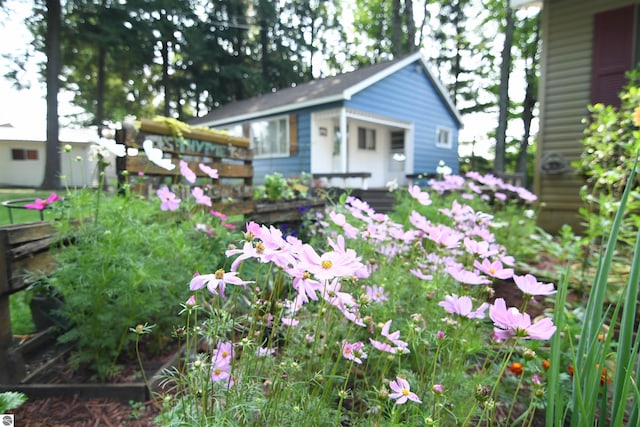 160 White Birch Ln, Cadillac, MI 49601 - view of yard