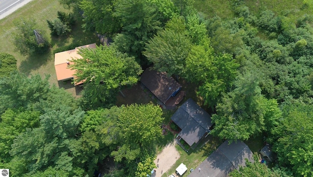 160 White Birch Ln, Cadillac, MI 49601 - drone / aerial view