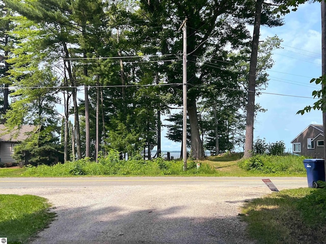 160 White Birch Ln, Cadillac, MI 49601 - view of road