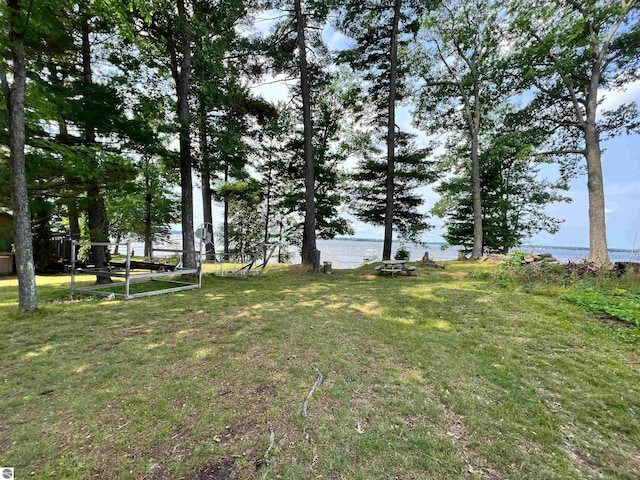 160 White Birch Ln, Cadillac, MI 49601 - view of yard with a water view