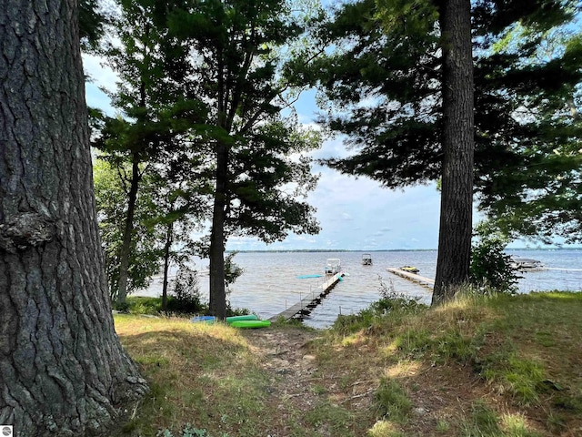 160 White Birch Ln, Cadillac, MI 49601 - water view featuring a boat dock
