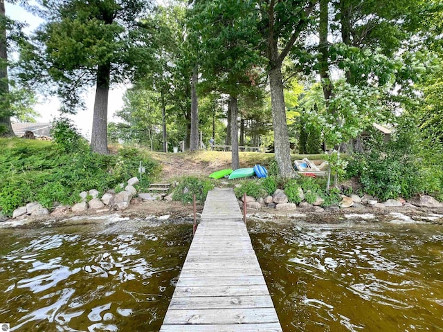 160 White Birch Ln, Cadillac, MI 49601 - view of dock
