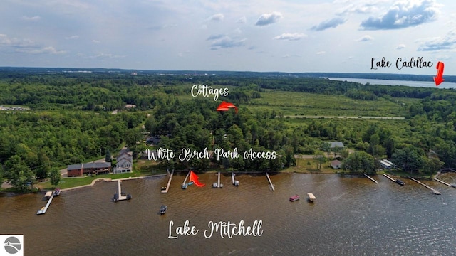 160 White Birch Ln, Cadillac, MI 49601 - drone / aerial view with a water view and a view of trees