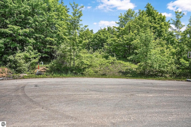 00 E Sugar Maple Ct, Suttons Bay, MI 49682