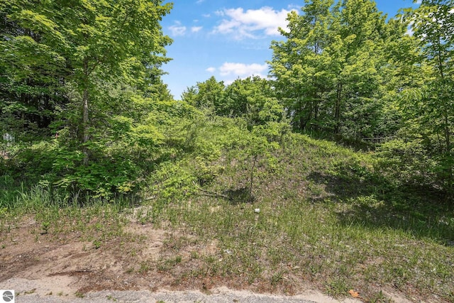 00 E Sugar Maple Ct, Suttons Bay, MI 49682
