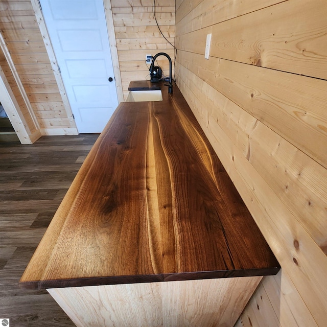 9701 S Lake Station Ave, Lake, MI 48632 - interior details with a sink, wooden walls, and wood finished floors