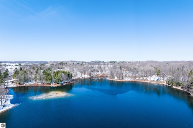 birds eye view of property featuring a forest view and a water view