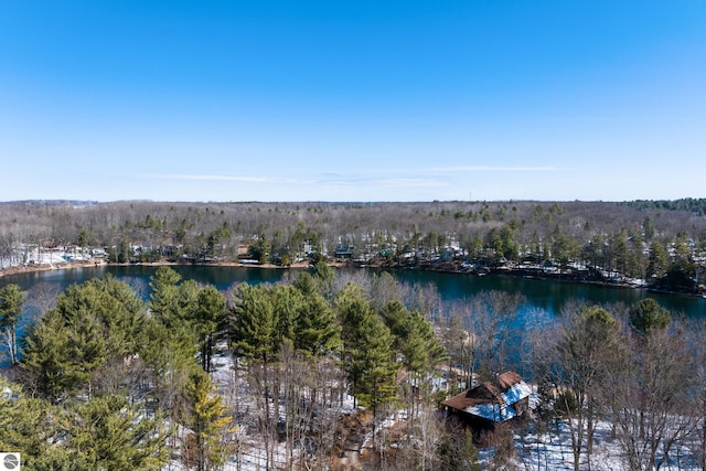 aerial view with a water view and a view of trees