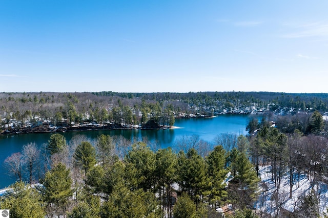 property view of water with a wooded view
