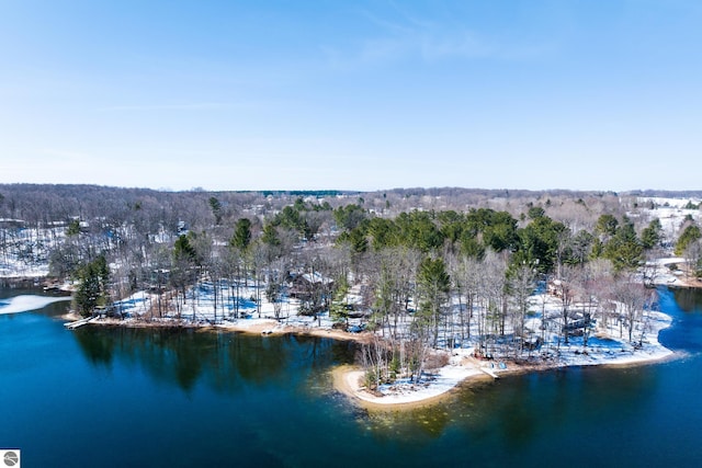 birds eye view of property featuring a water view and a wooded view