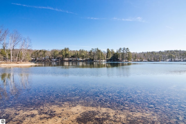 water view with a view of trees