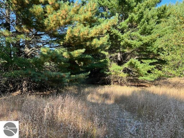 0 Samels Rd, Williamsburg, MI 49690