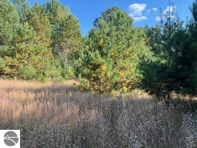 0 Samels Rd, Williamsburg, MI 49690