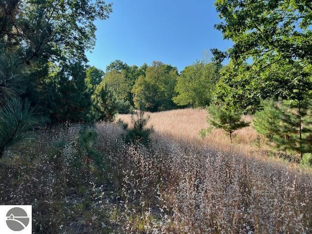 0 Samels Rd, Williamsburg, MI 49690