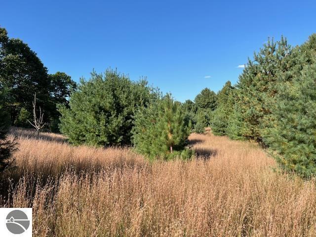 0 Samels Rd, Williamsburg, MI 49690