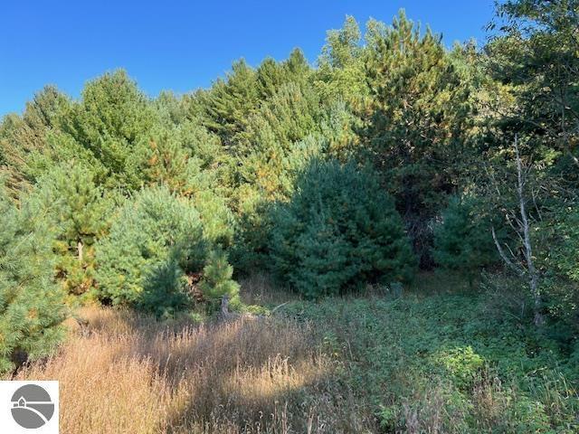 0 Samels Rd, Williamsburg, MI 49690