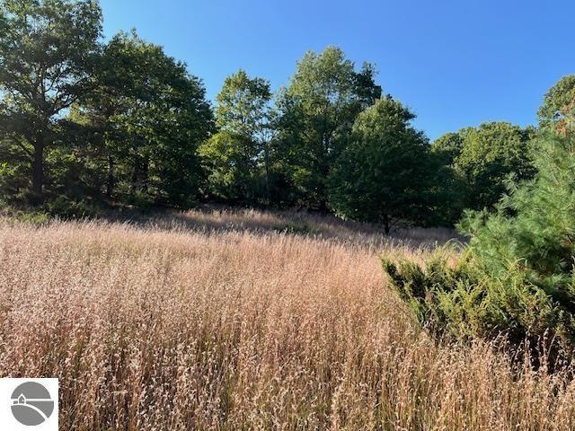 0 Samels Rd, Williamsburg, MI 49690