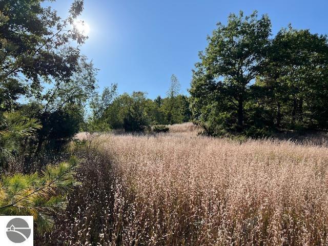 0 Samels Rd, Williamsburg, MI 49690