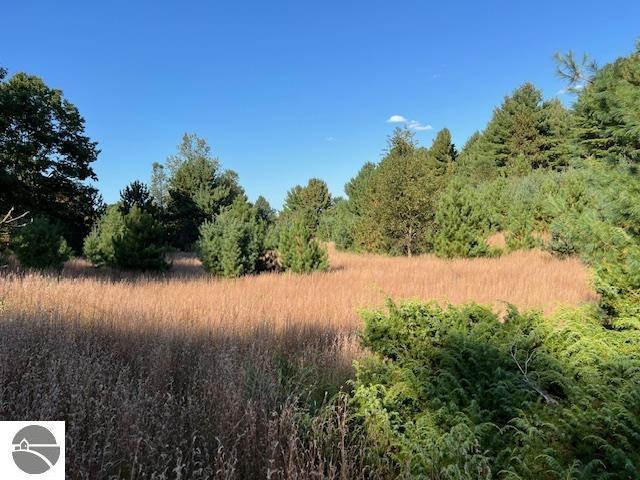 0 Samels Rd, Williamsburg, MI 49690
