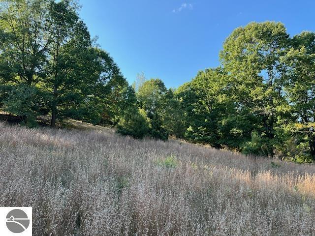 0 Samels Rd, Williamsburg, MI 49690