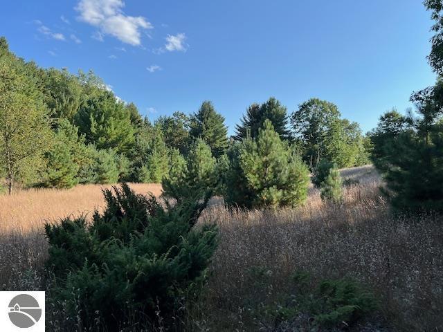 0 Samels Rd, Williamsburg, MI 49690