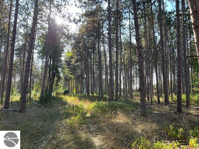 0 Samels Rd, Williamsburg, MI 49690