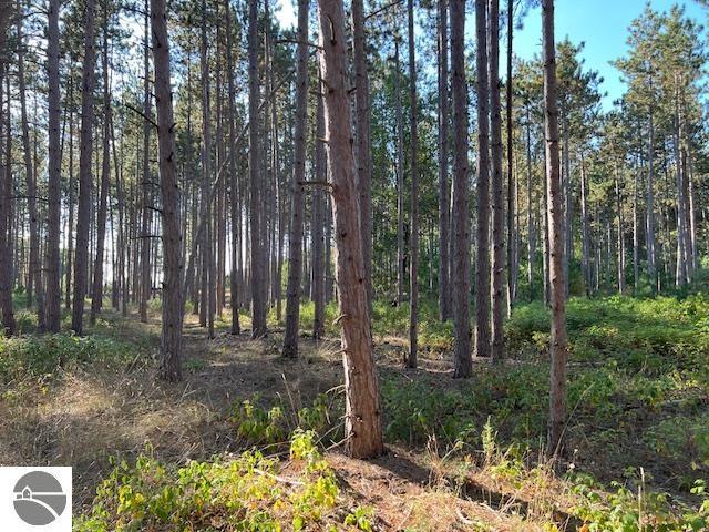 0 Samels Rd, Williamsburg, MI 49690