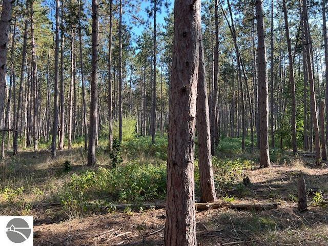 0 Samels Rd, Williamsburg, MI 49690