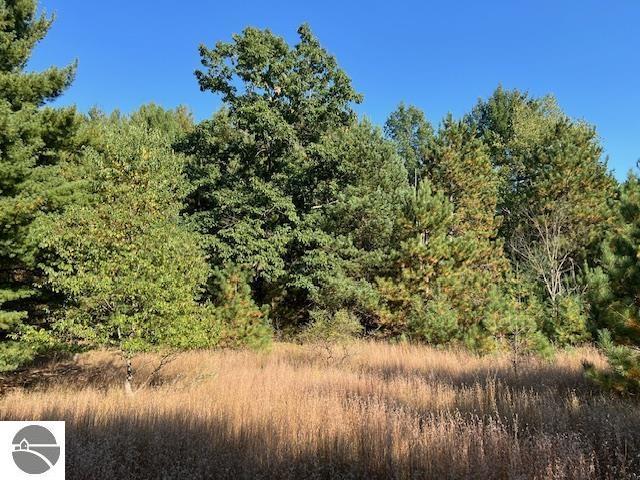 0 Samels Rd, Williamsburg, MI 49690