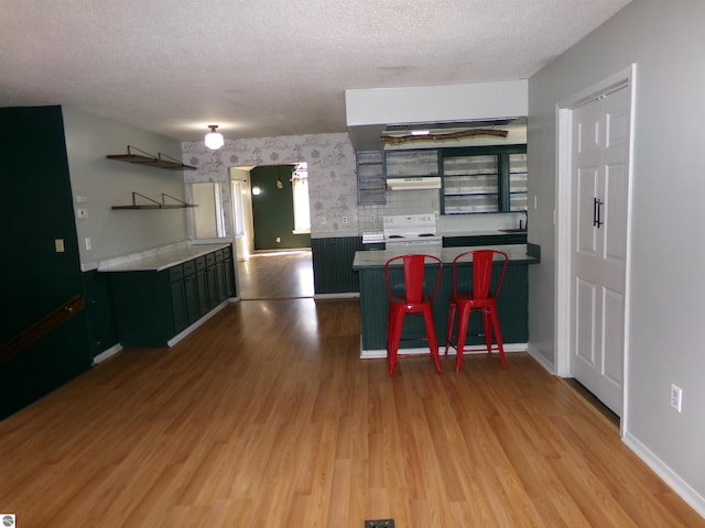 kitchen with white electric range oven, wood finished floors, open shelves, and under cabinet range hood