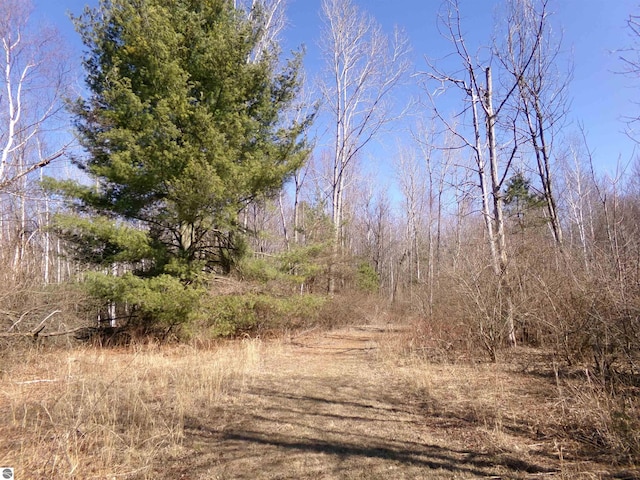 view of landscape
